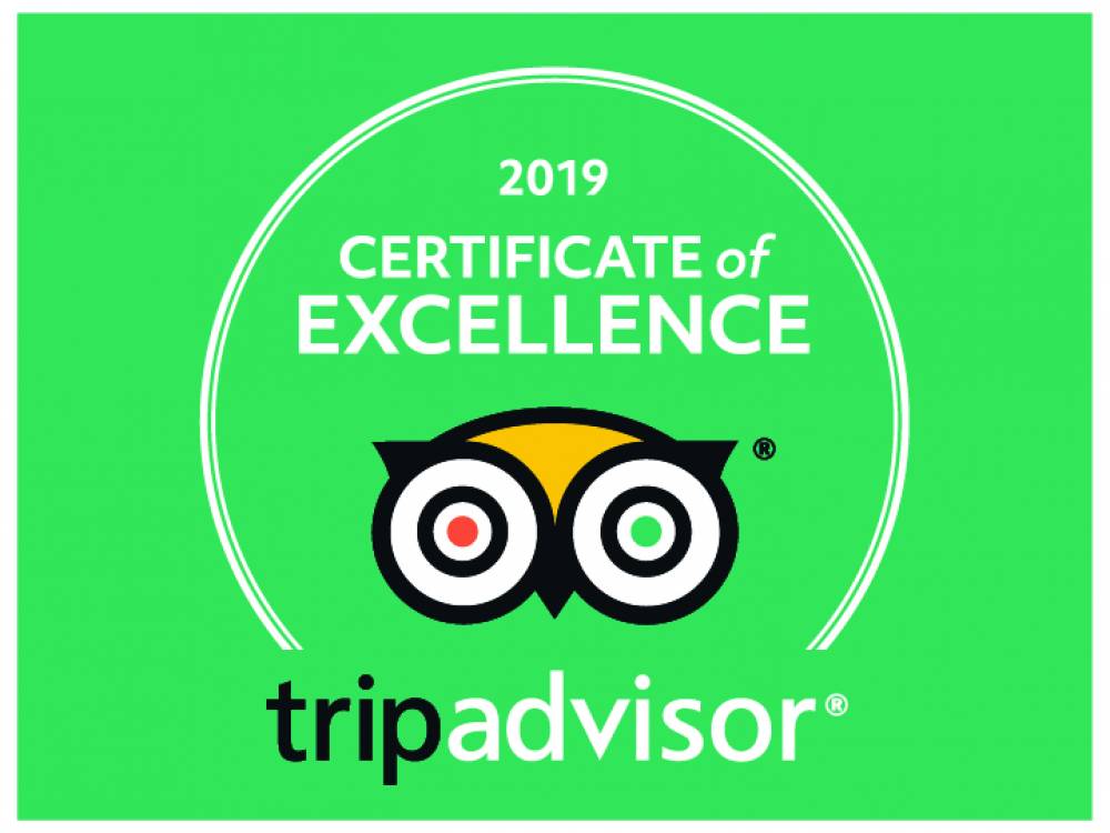 TripAdvisor - The Best pizza in Taipei